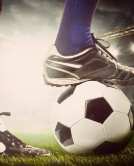 GO PRO Pathway Program