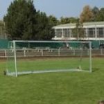 Profile picture of scmguest